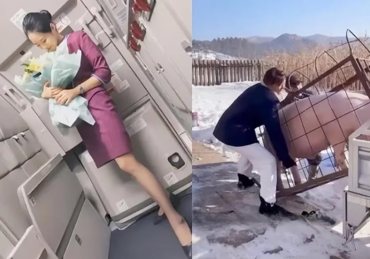 Lương tiếp viên hàng không thấp, cô gái về nuôi lợn kiếm 350 triệu đồng/tháng- Ảnh 4. Lương tiếp viên hàng không thấp, cô gái về nuôi lợn kiếm 350 triệu đồng/tháng- Ảnh 4.