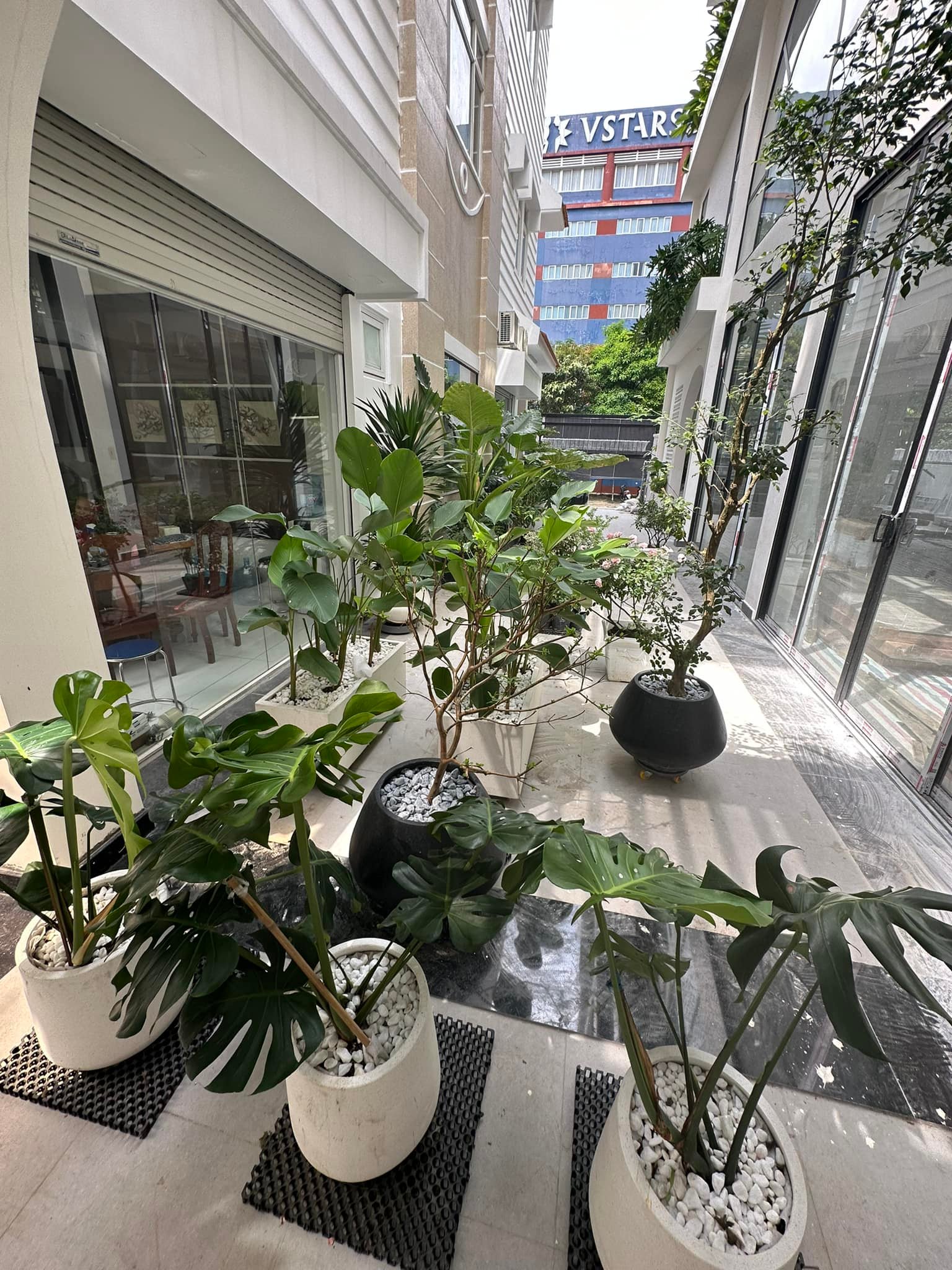 Nữ diễn viên sở hữu nhà 1000m2 ở Quận 7, khu du lịch 50.000m2 ở Tiền Giang, sinh 4 con vẫn đẹp- Ảnh 9.