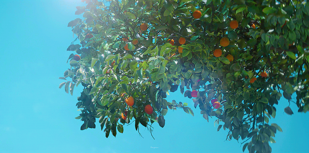 Có một Jeju đẹp nao lòng ở Khi Cuộc Đời Cho Bạn Quả Quýt, ai nhìn qua cũng đắm say cả đời- Ảnh 1.