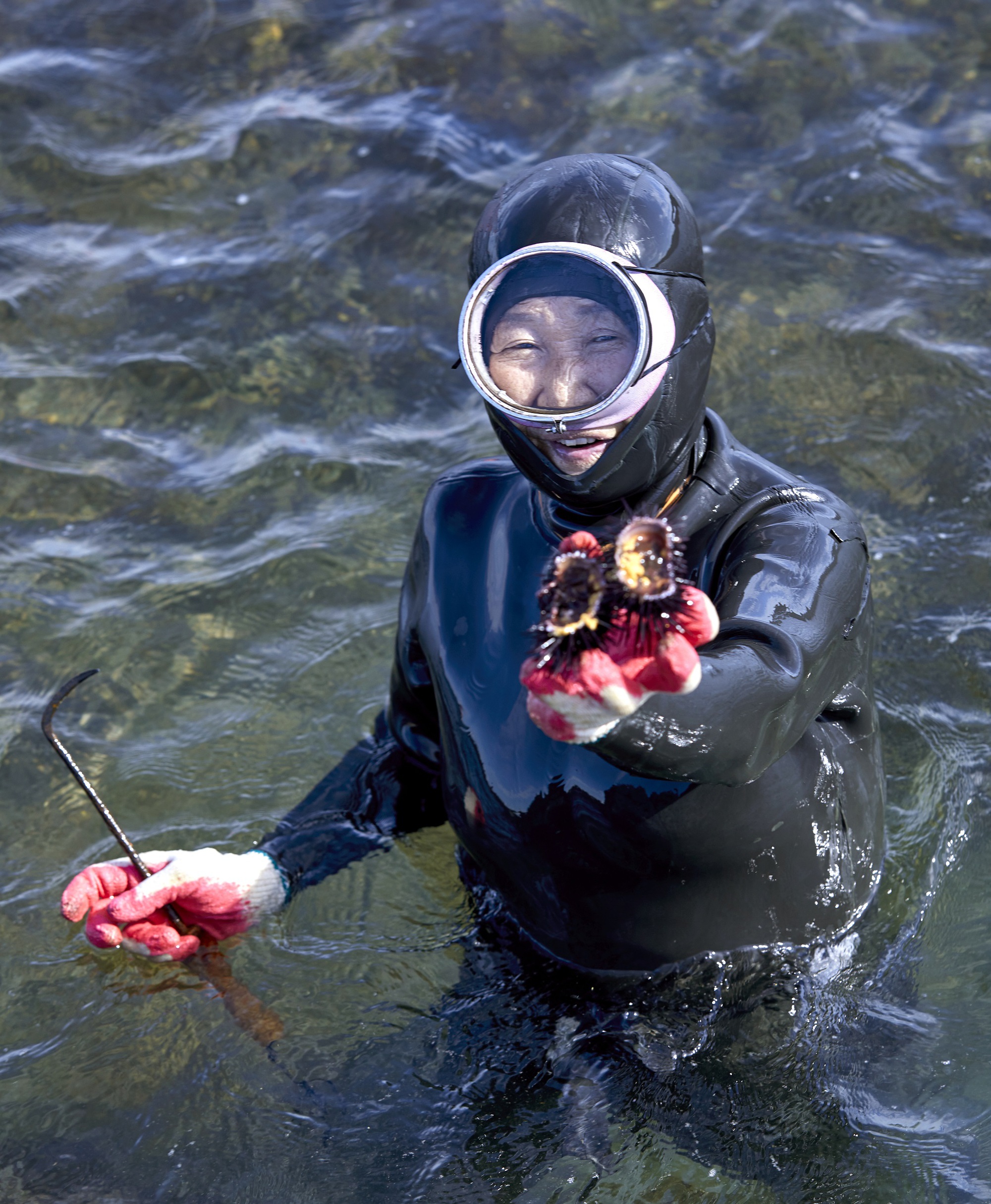 Hải nữ là nghề gì mà khiến IU