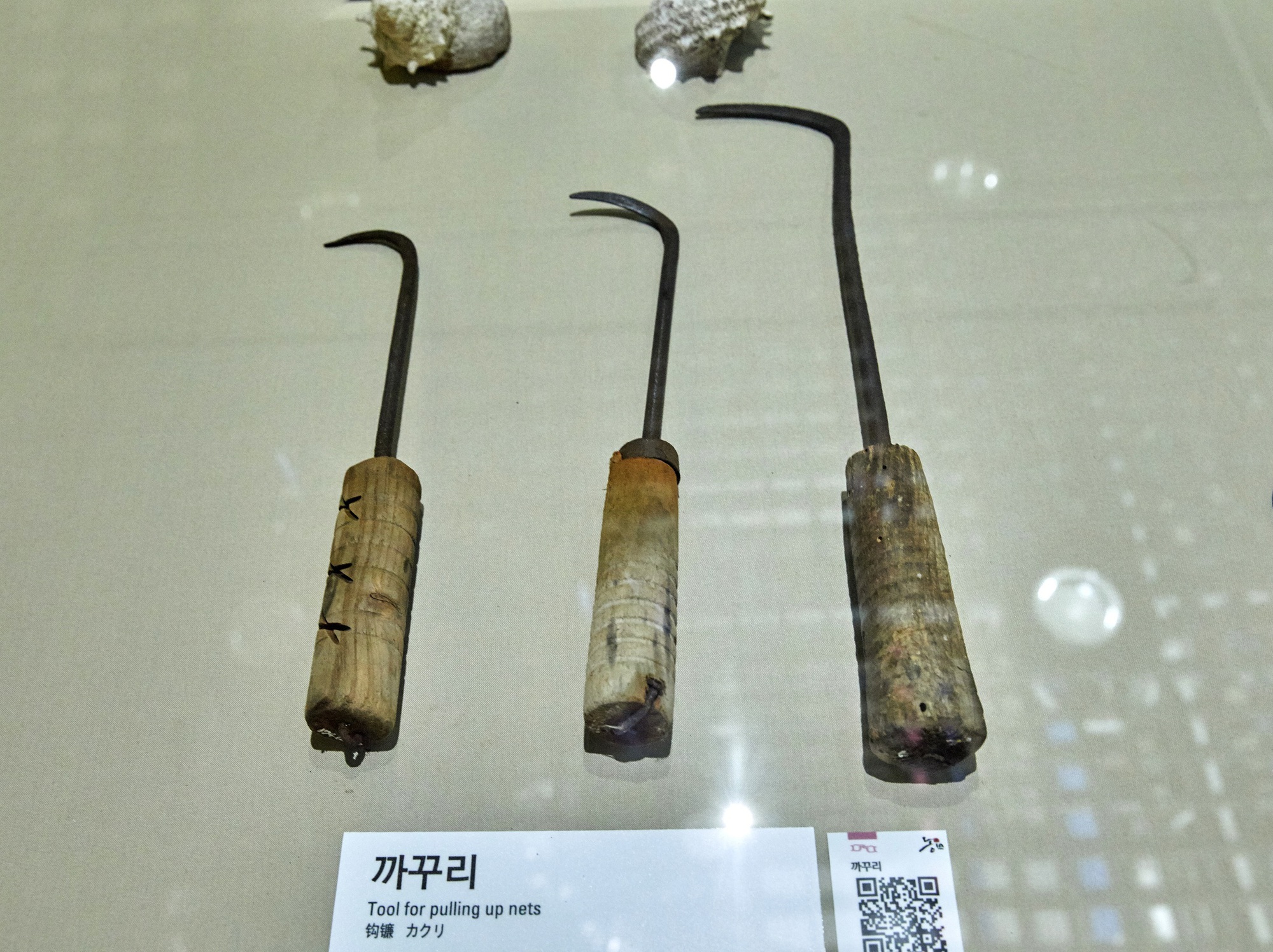 Hải nữ là nghề gì mà khiến IU