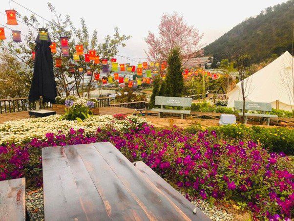 "Nhạc sĩ giàu nhất Việt Nam" khoe cơ ngơi 1.000m2 như cổ tích tại Đà Lạt 4 1737973320 163 width602height452