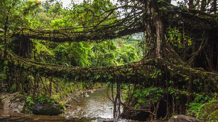 5 cây cầu đáng sợ nhất hành tinh: Du khách đứng không vững vẫn mê mẩn check-in- Ảnh 3.