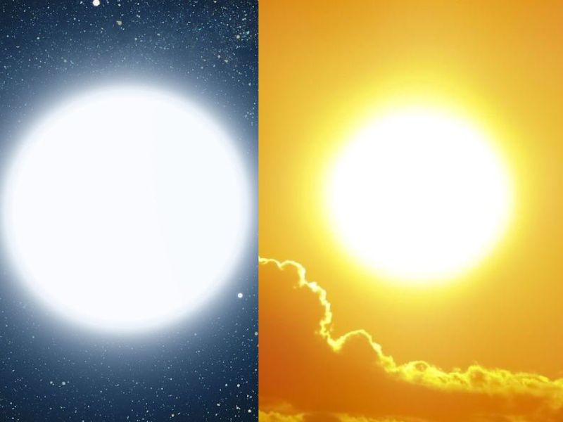 Những sự thật kỳ lạ trên thế giới mà ai cũng nghĩ là Những sự thật kỳ lạ trên thế giới mà ai cũng nghĩ là