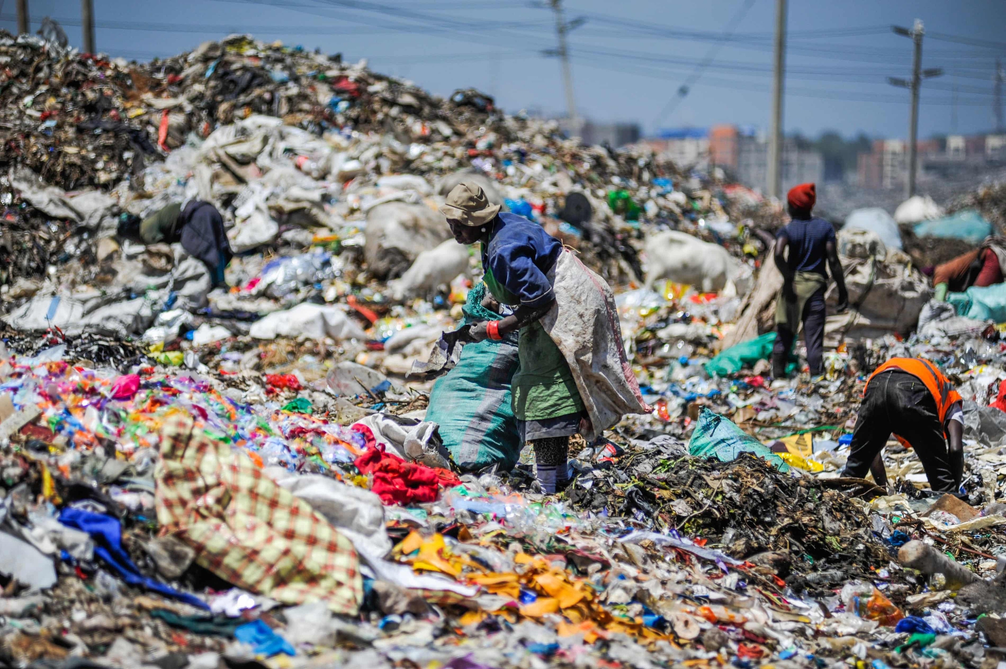 Quốc gia phạt tù người dùng túi nilon- Ảnh 2.