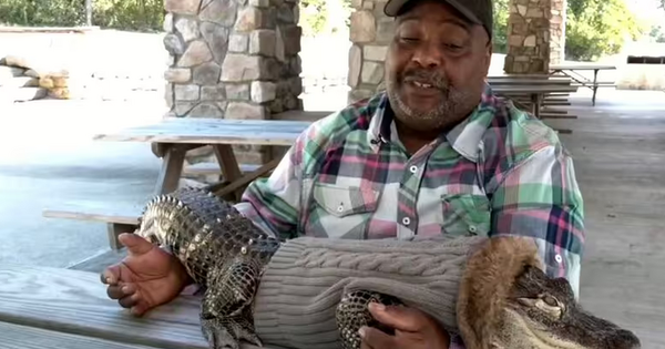 Mang cá sấu 'chữa lành' vào siêu thị Mỹ, người đàn ông bị từ chối gây tranh cãi 432446 1 11000201 1757835207669 17578352078671424211485 12 34 438 716 crop 17578352495721198762593png