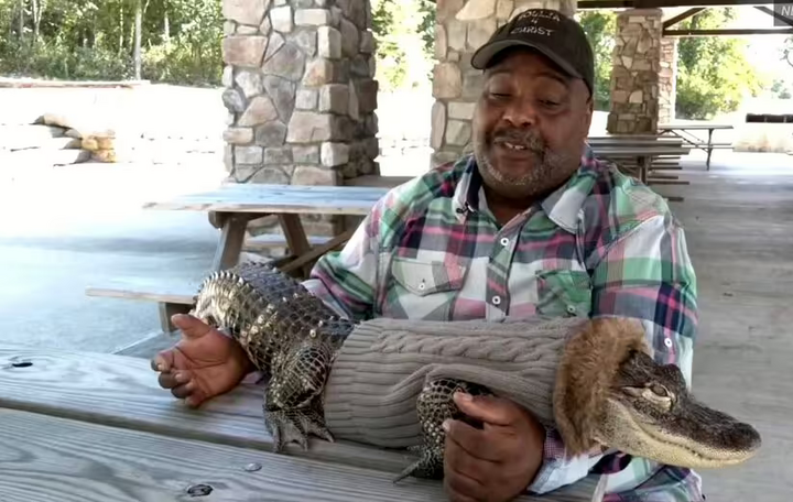 Mang cá sấu 'chữa lành' vào siêu thị Mỹ, người đàn ông bị từ chối gây tranh cãi- Ảnh 1.