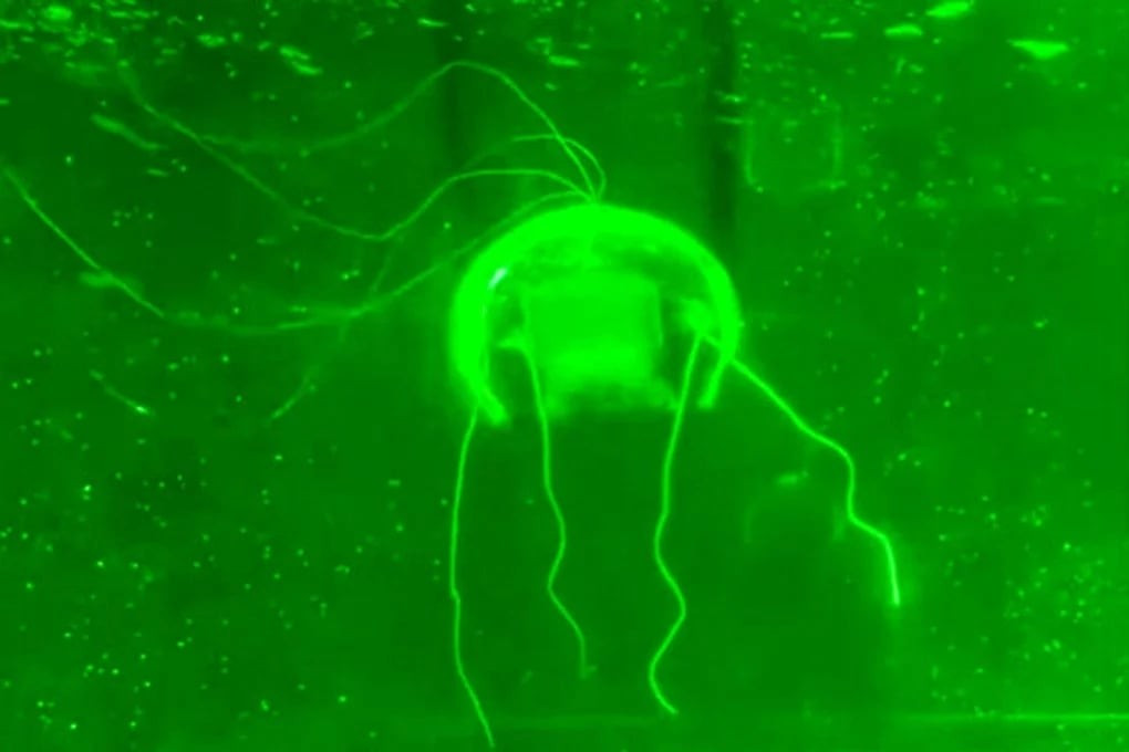 Trung Quốc phát triển robot 'tàng hình' để thăm dò vùng biển sâu- Ảnh 2. Trung Quốc phát triển robot 'tàng hình' để thăm dò vùng biển sâu- Ảnh 2.