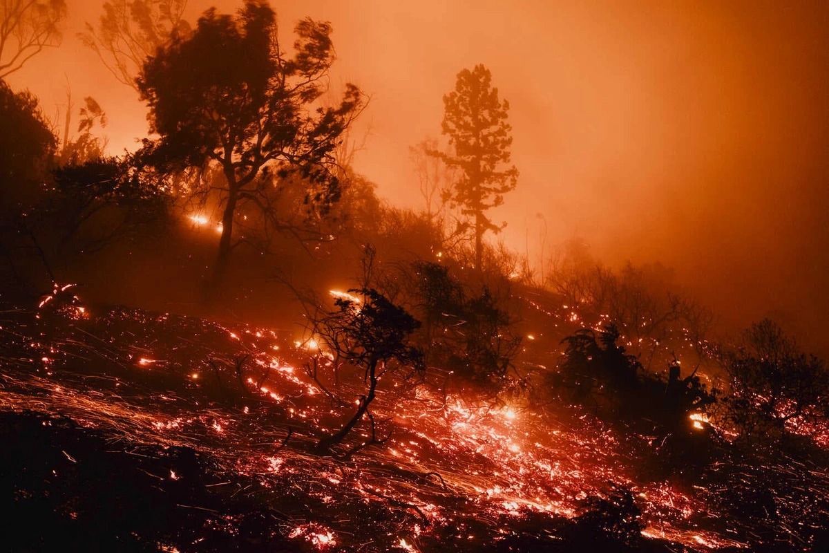 "Cơn gió của quỷ" là nguyên nhân khiến Los Angeles chìm trong thảm hoạ lịch sử: Đoạn clip vạch trần chính xác những gì đang diễn ra 47271306312601828088012455522444388635925807n 1736416642249 1736416642334857791389
