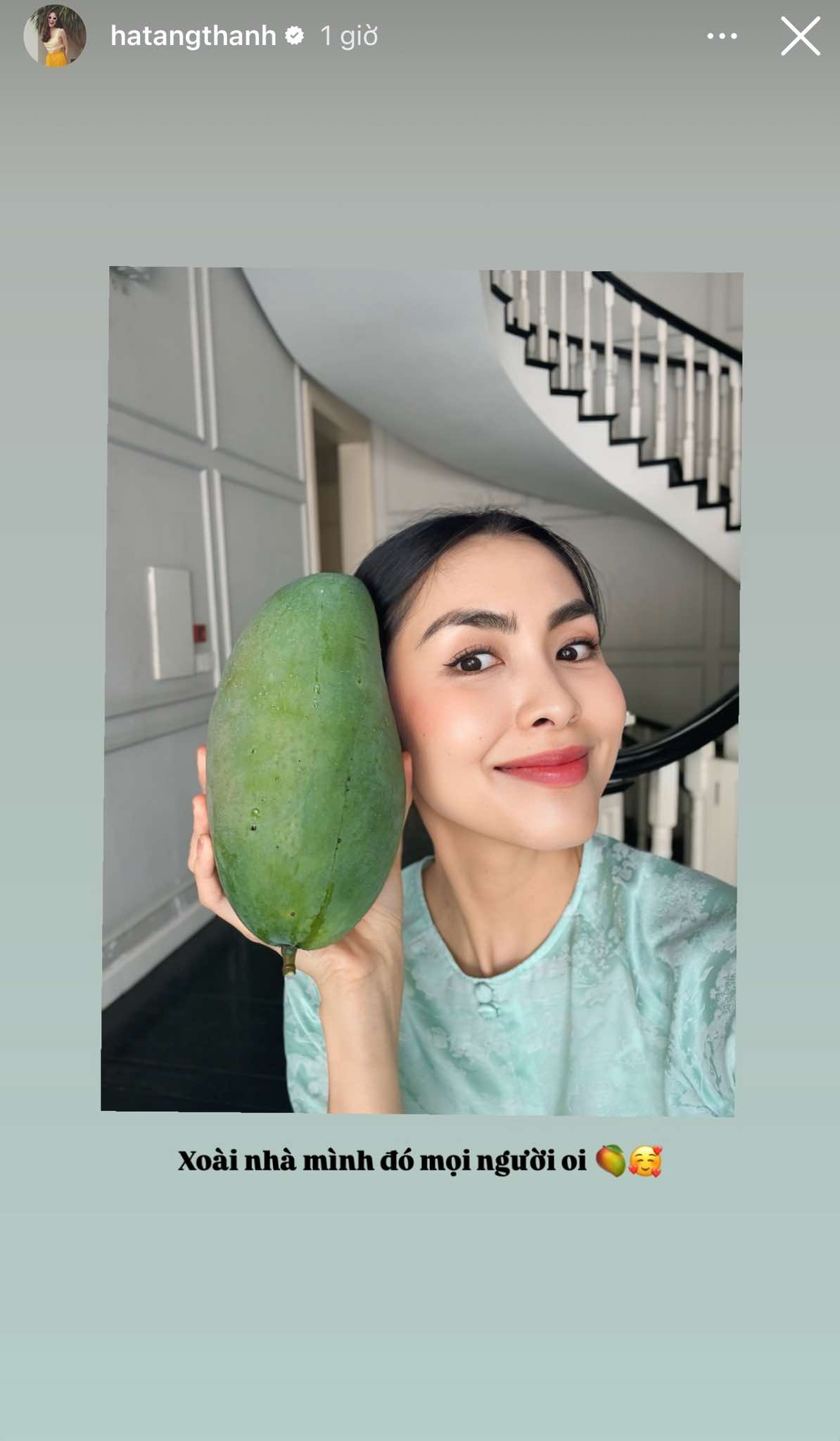 Tết của hội mỹ nhân đình đám: Mai Ngọc