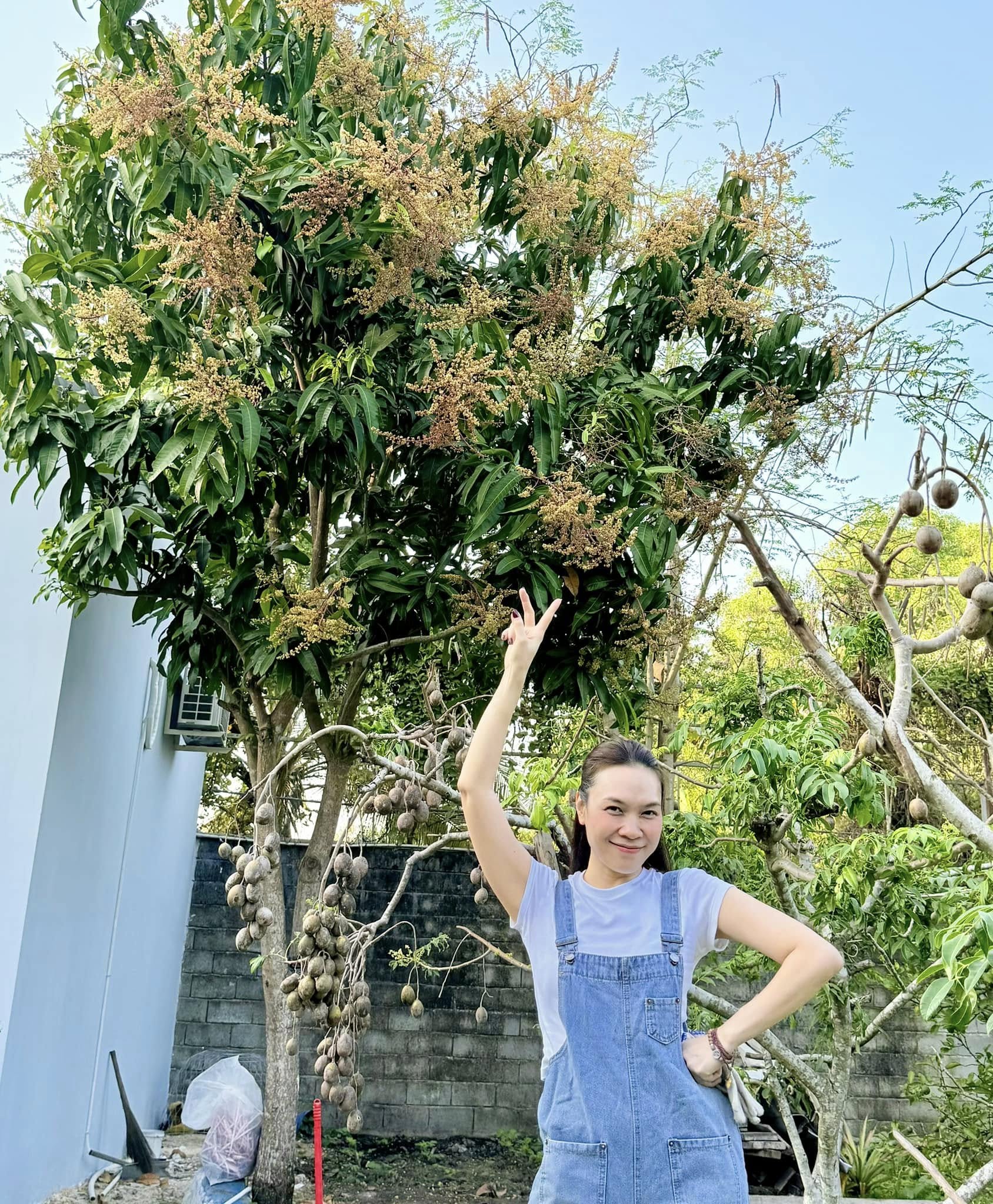 Nữ hoàng Vpop sở hữu nhà trăm tỷ giữa TP.HCM, 26 năm giữ sạch tên tuổi, nghi yêu đàn em kém 10 tuổi- Ảnh 5.