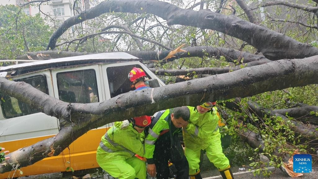 Hàng trăm cây đổ, hàng chục người nhập viện do bão Wipha ở Trung Quốc- Ảnh 7.