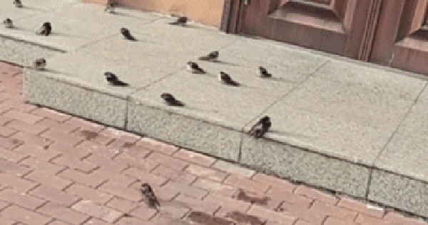 Sự chậm trễ của mùa thu 481 1761628352812 17616283529621447655811 1761638031933 1761638032517684457905 0 30 233 403 crop 1761638052203481481051gifpng