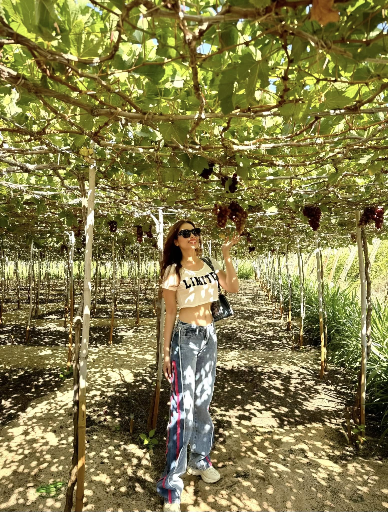 Mỹ nhân Việt từng được gọi là “quả bom sex