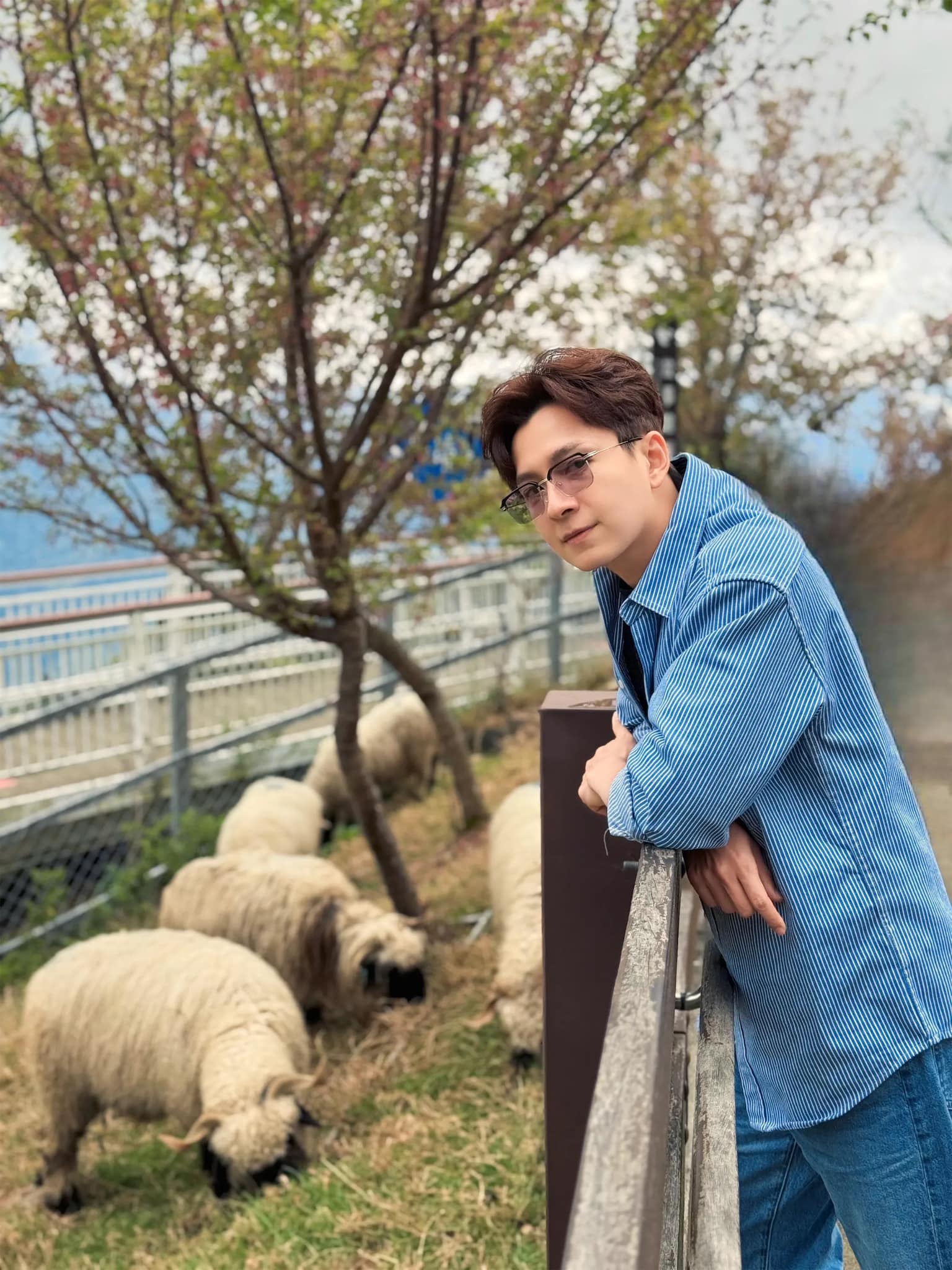 Ngoại hình điển trai của Ngoại hình điển trai của