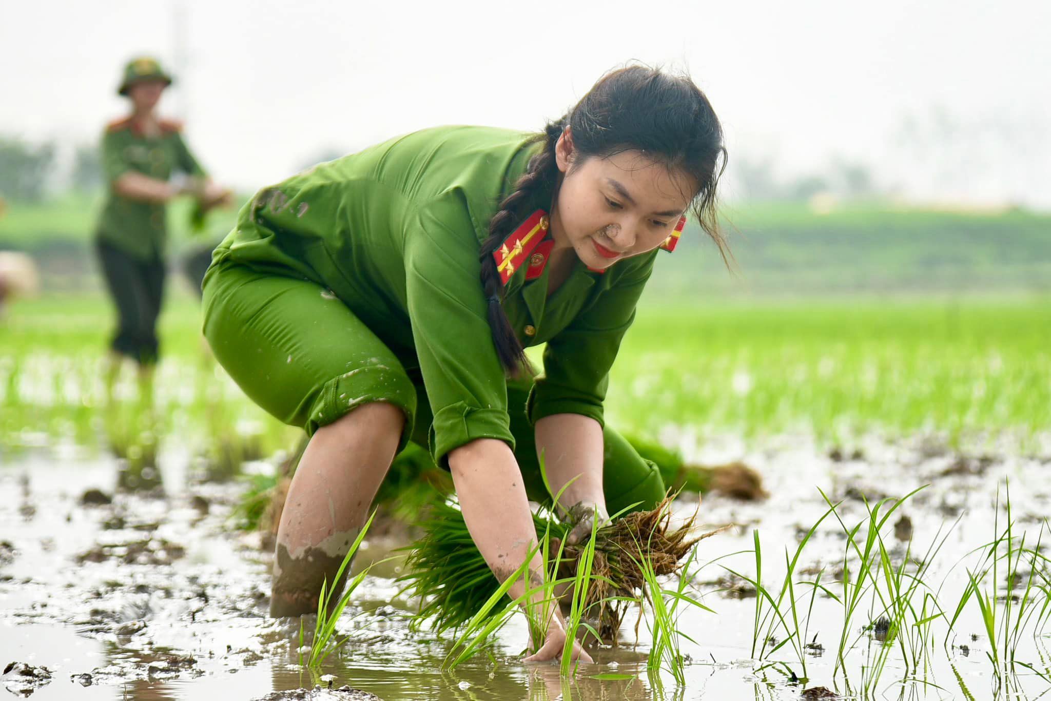 Bất ngờ với hình ảnh