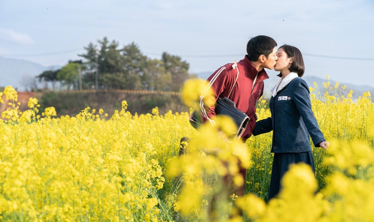 Có một Jeju đẹp nao lòng ở Khi Cuộc Đời Cho Bạn Quả Quýt, ai nhìn qua cũng đắm say cả đời- Ảnh 5.