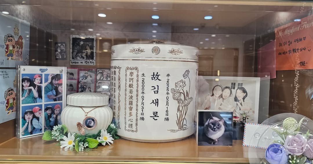 Kim Sae Ron chết không được yên - 6