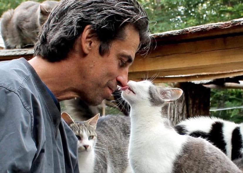 Thương tâm: 100 chú mèo bị thiêu rụi trong 1 buổi sáng- Ảnh 4.