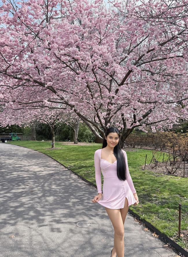 Sao Việt kể chuyện