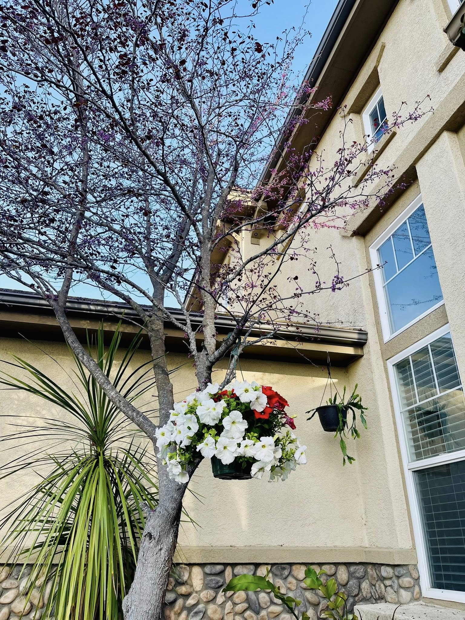 Cuộc sống của nữ nghệ sĩ đình đám theo chồng rời bỏ showbiz, 6 năm không trở lại, 40 tuổi đẹp như 20- Ảnh 3.