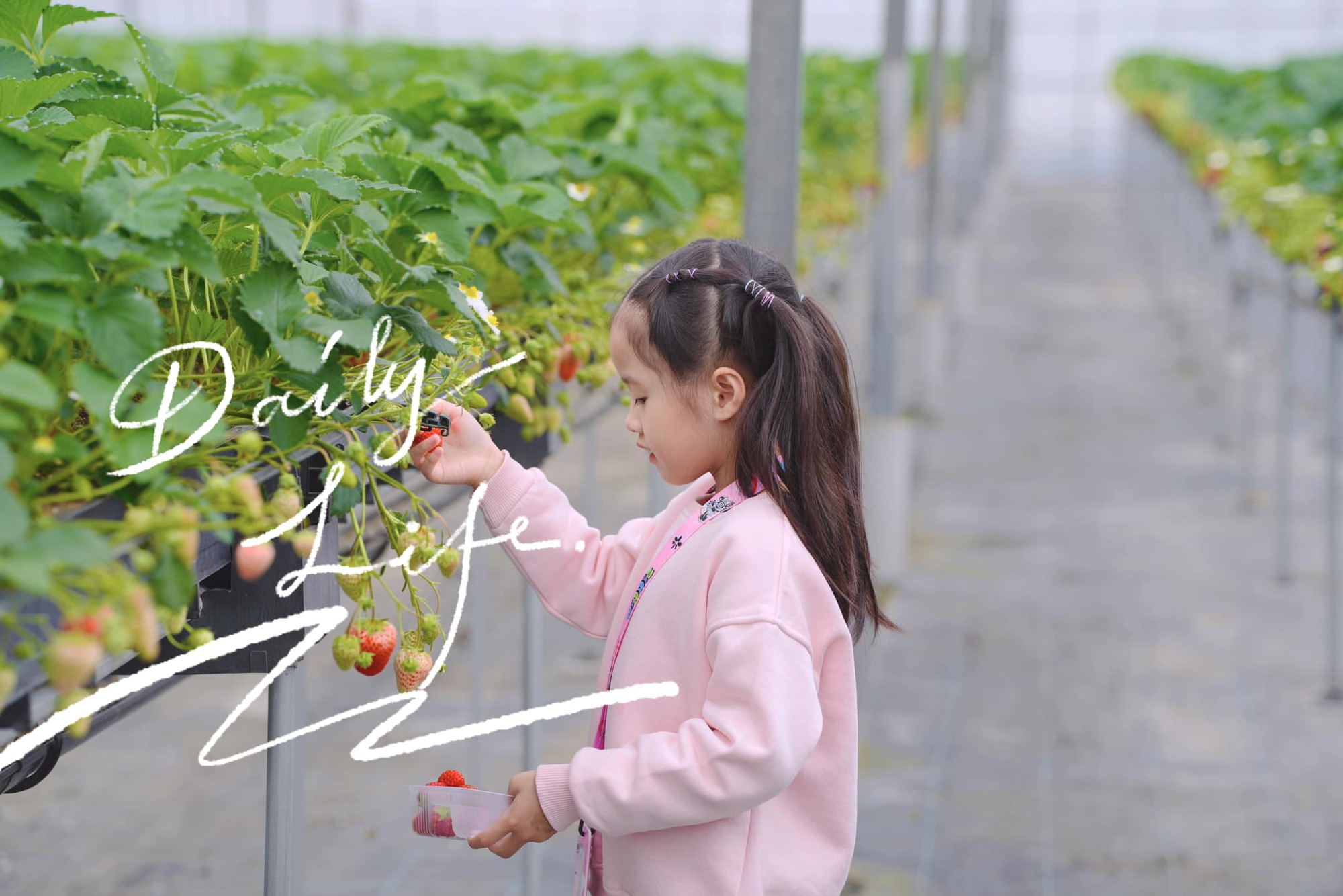 Chiều cao ở tuổi lên 7 của con gái Hoa hậu Đặng Thu Thảo gây bất ngờ- Ảnh 2. Chiều cao ở tuổi lên 7 của con gái Hoa hậu Đặng Thu Thảo gây bất ngờ- Ảnh 2.