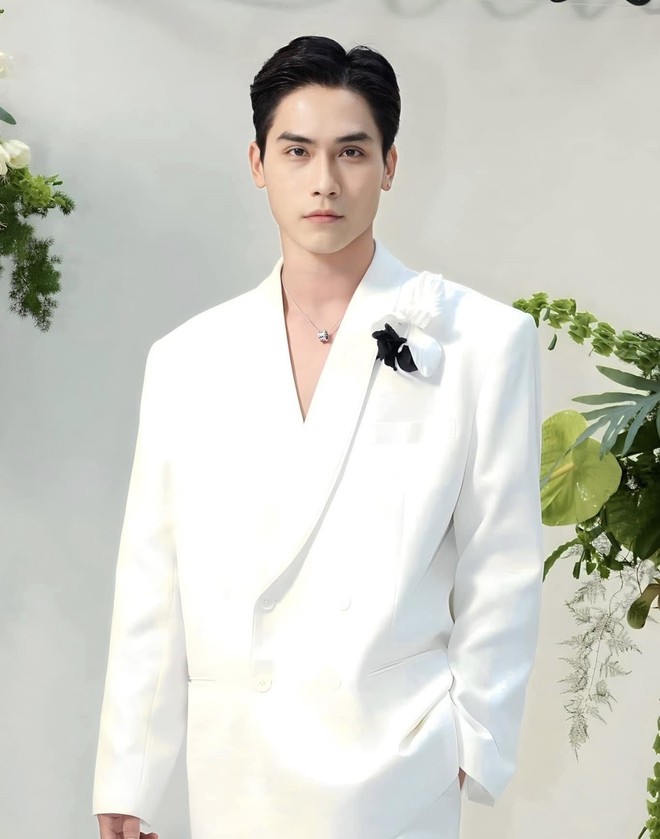 Dàn trai đẹp đóng cảnh vệ, không tặc- Ảnh 18.