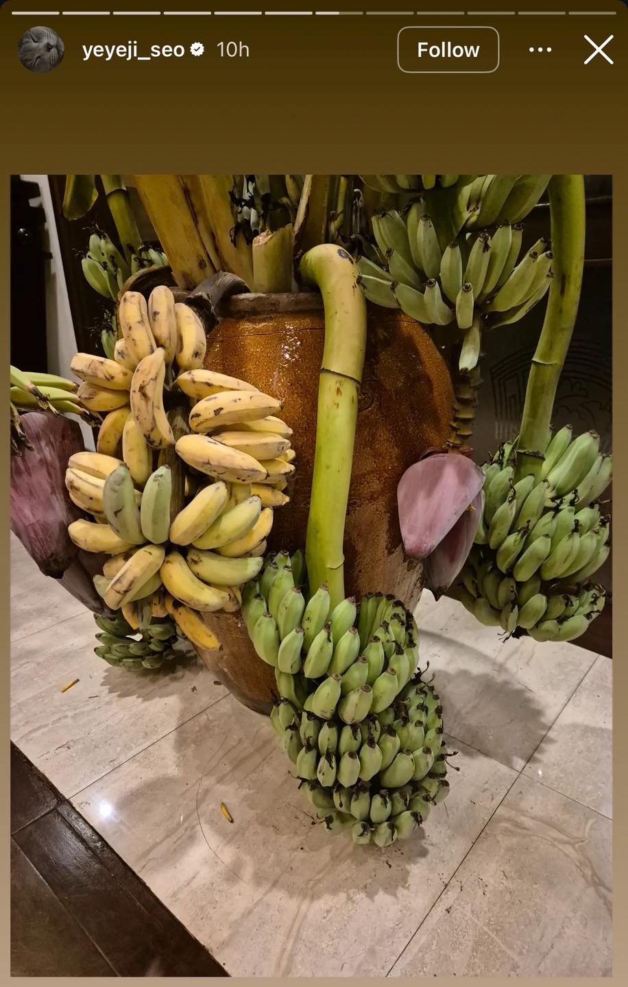 Clip HOT: Bắt gọn