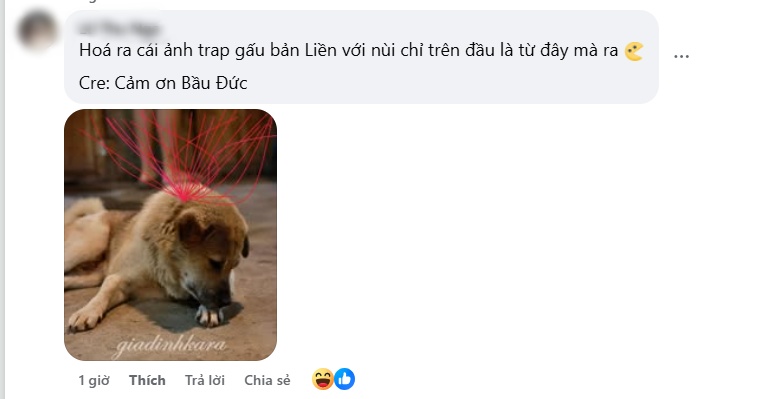 Sợi chỉ đỏ là gì mà viral khắp MXH Việt, loạt siêu sao cũng Sợi chỉ đỏ là gì mà viral khắp MXH Việt, loạt siêu sao cũng