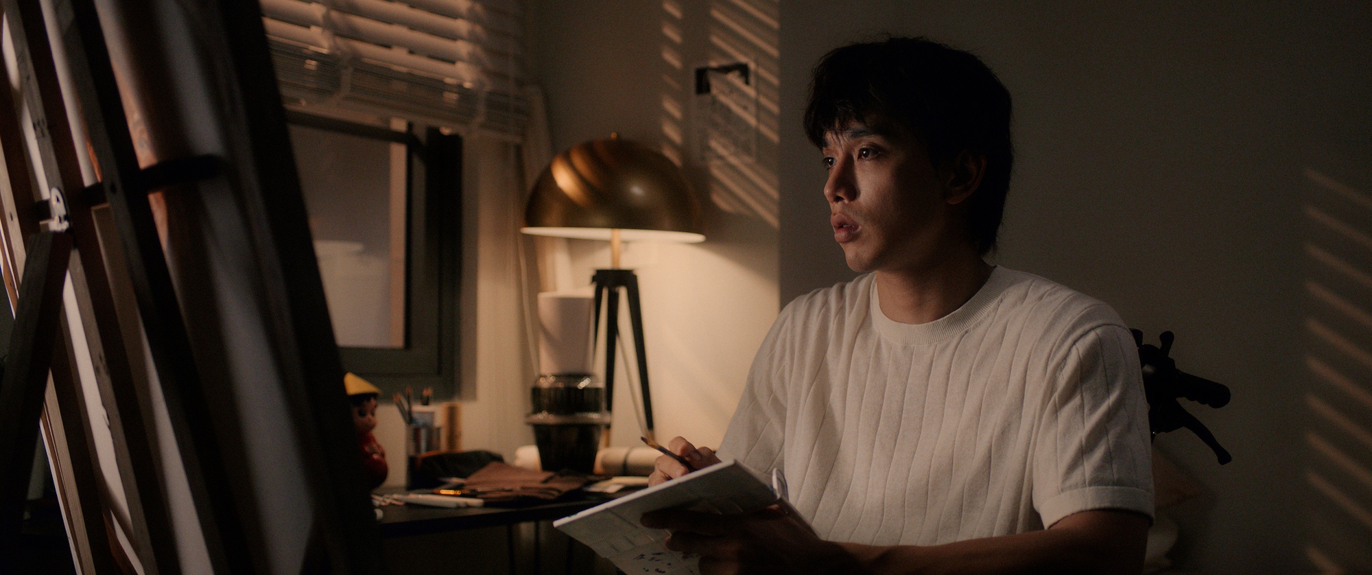 Mỹ nam Vbiz gây sốc vì phải ngồi xe lăn, nhan sắc tụt dốc đáng báo động- Ảnh 3.