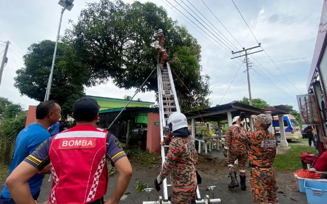 Tối vẫn không thấy con trai trở về, mẹ đi tìm thì ngất xỉu khi thấy con đang nằm bất động trên cây- Ảnh 3.