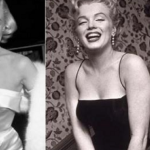 Nữ minh tinh màn bạc tử vong trong tình trạng không mặc đồ, loạt uẩn khúc chưa thể giải đáp sau nhiều thập kỷ 5 ngoisaovn w800 h600 10480312 1743673004848 1743673004988751279806 0 0 432 691 crop 1743673032725887023737png