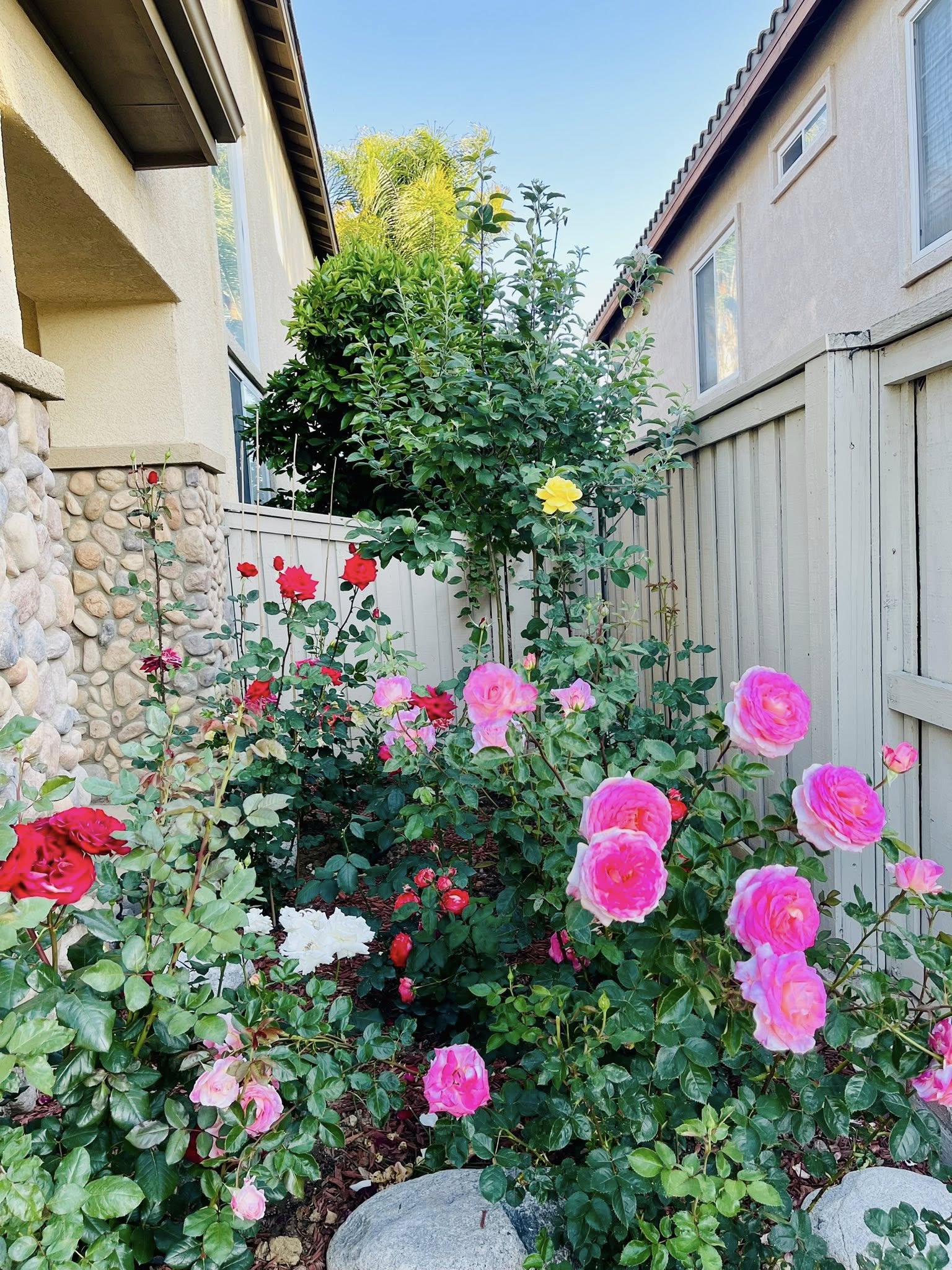 Cuộc sống của nữ nghệ sĩ đình đám theo chồng rời bỏ showbiz, 6 năm không trở lại, 40 tuổi đẹp như 20- Ảnh 5.