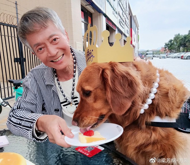 "Ác nhân" Phương Cương qua đời: Sống đời giàu sang, cô độc 502634686 1218950933357529 3833111254025442669 n 8067 241 1748759986699 17487599871081616460634