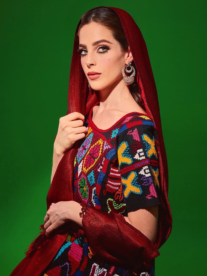 Hoa hậu Hoàn vũ mới đăng quang đối mặt hàng loạt tố cáo- Ảnh 27.