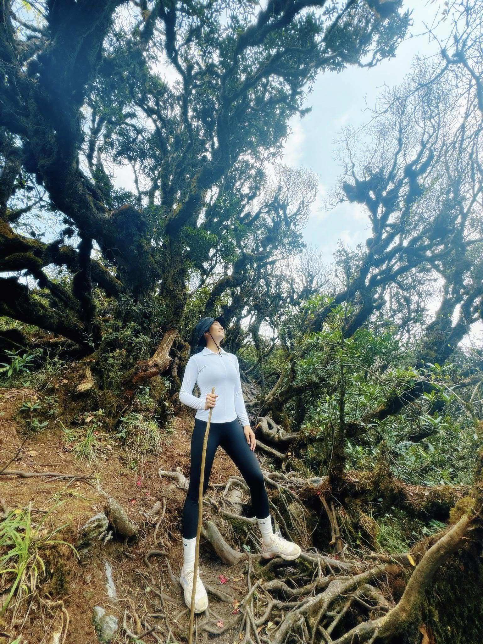 Bất ngờ với hình ảnh