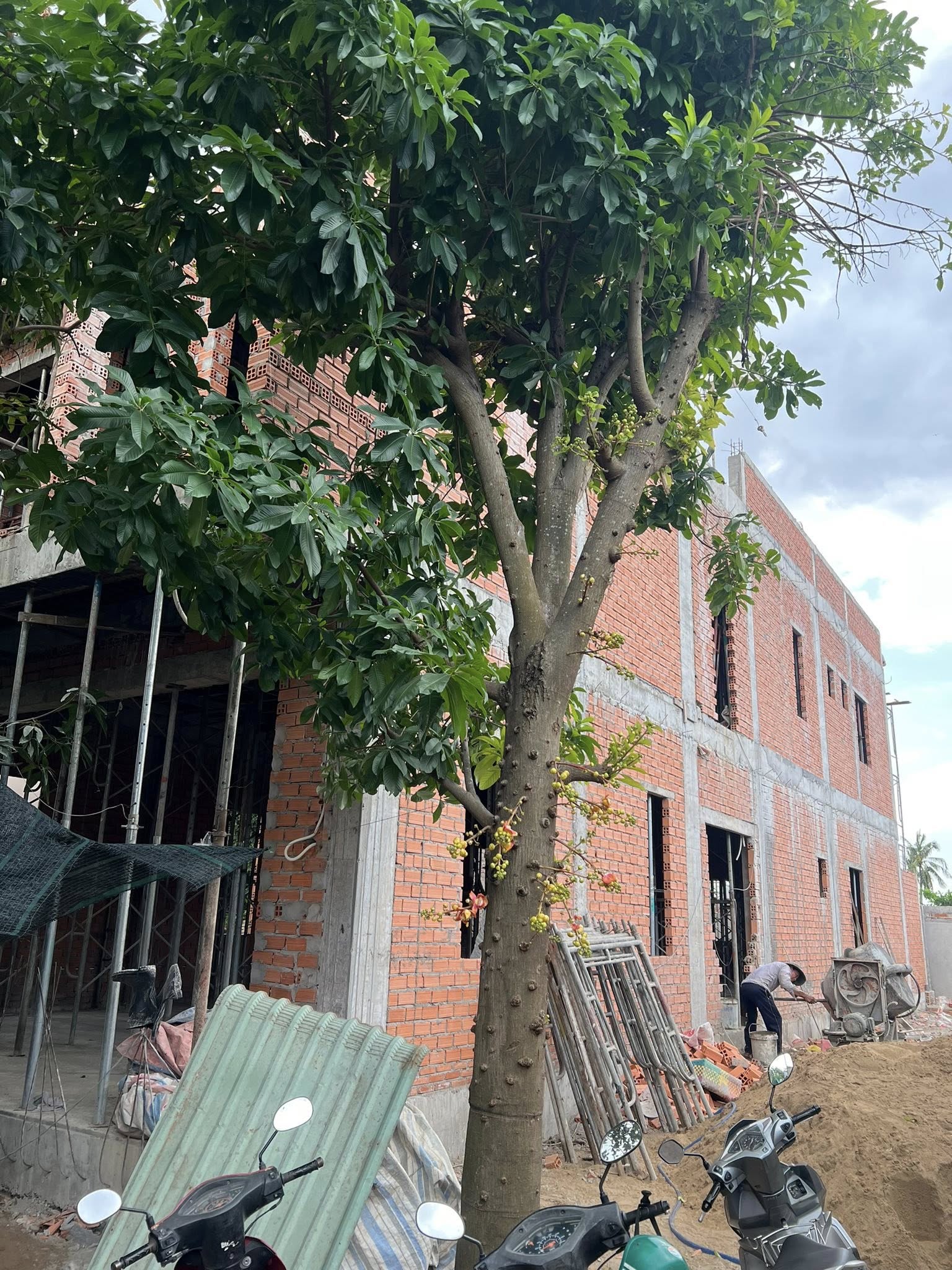 Căn nhà 10 phòng mà diễn viên quê Cần Giuộc báo hiếu bố mẹ sau 2 tháng khởi công- Ảnh 2.