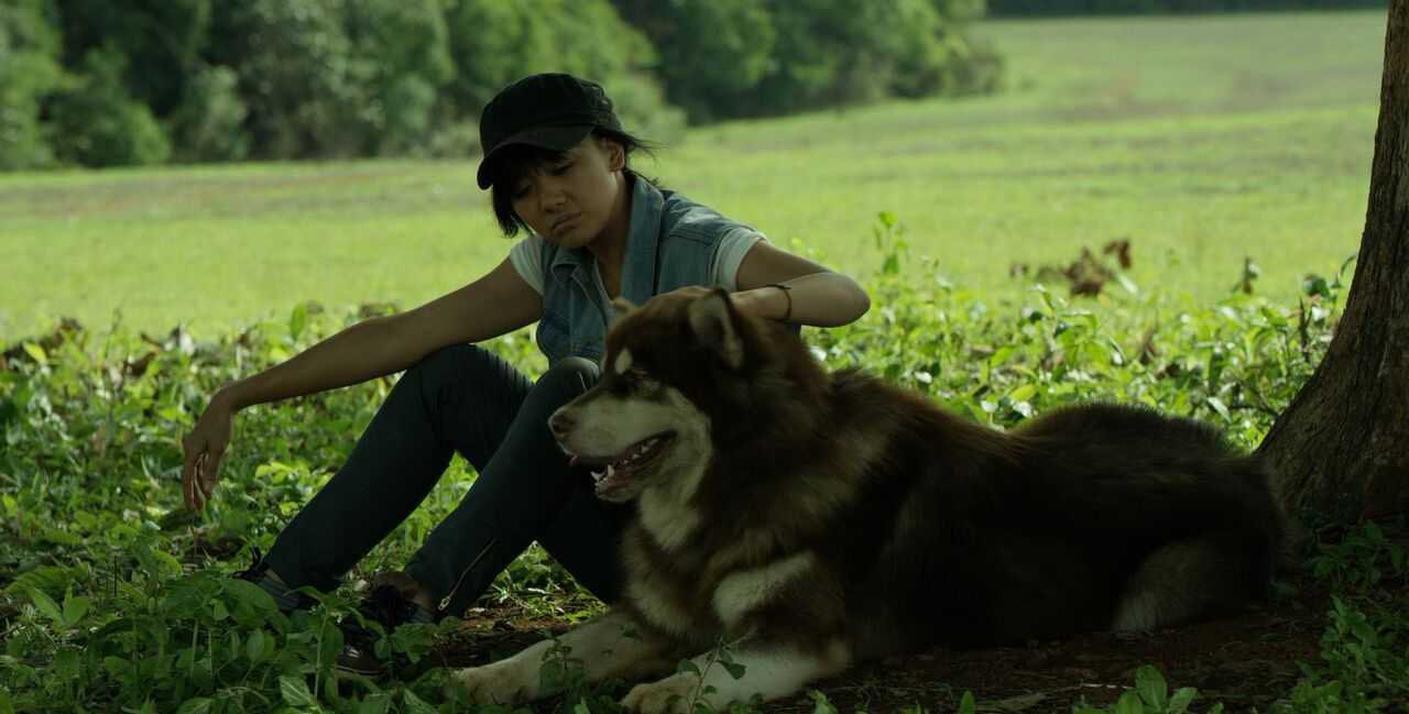 Căng mắt vẫn không thể nhận ra Hari Won, đây có đúng là bà xã Trấn Thành không đấy?- Ảnh 2.