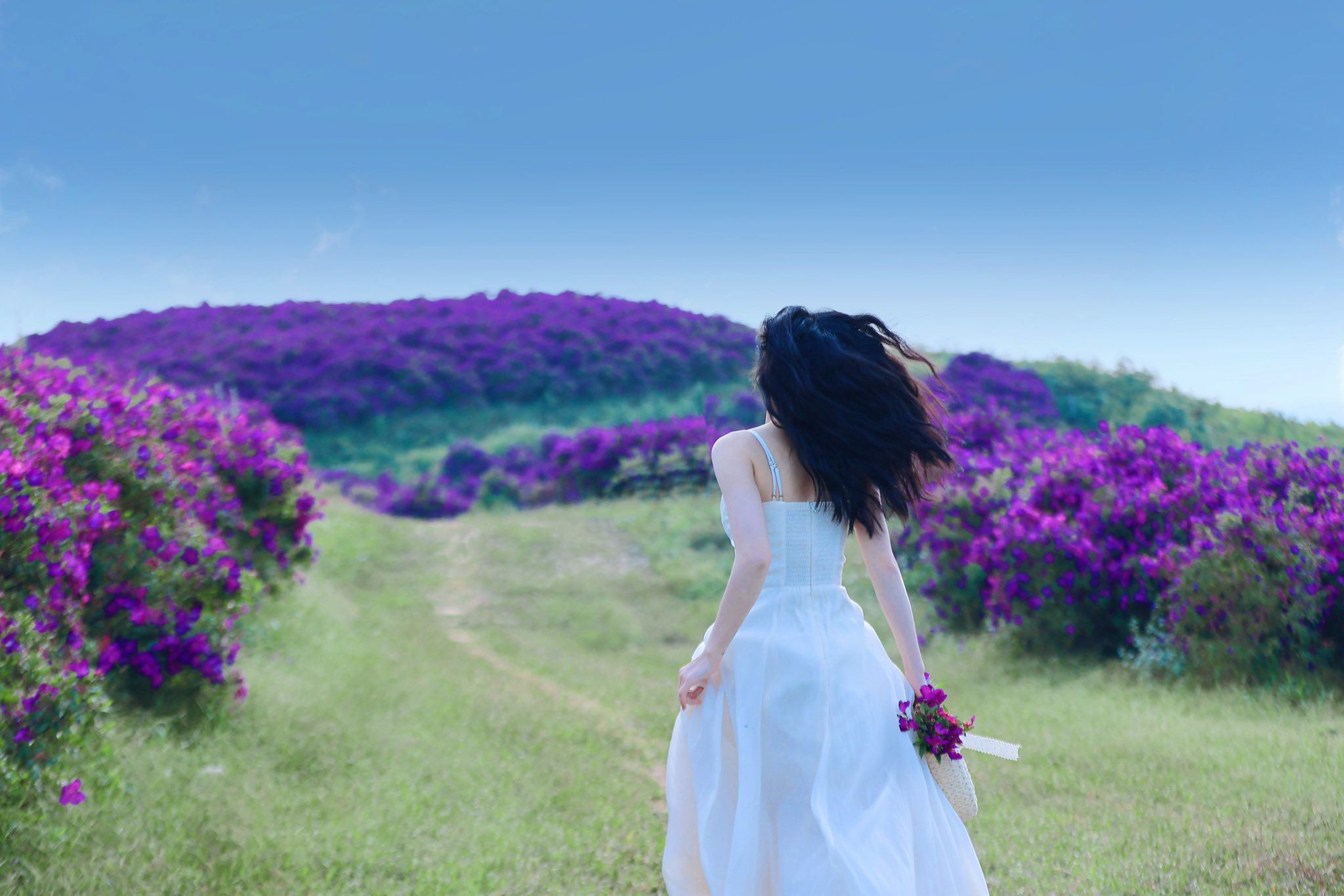 Clip: Điểm check in hoa sim Suối Bon đang được giới trẻ yêu thích.