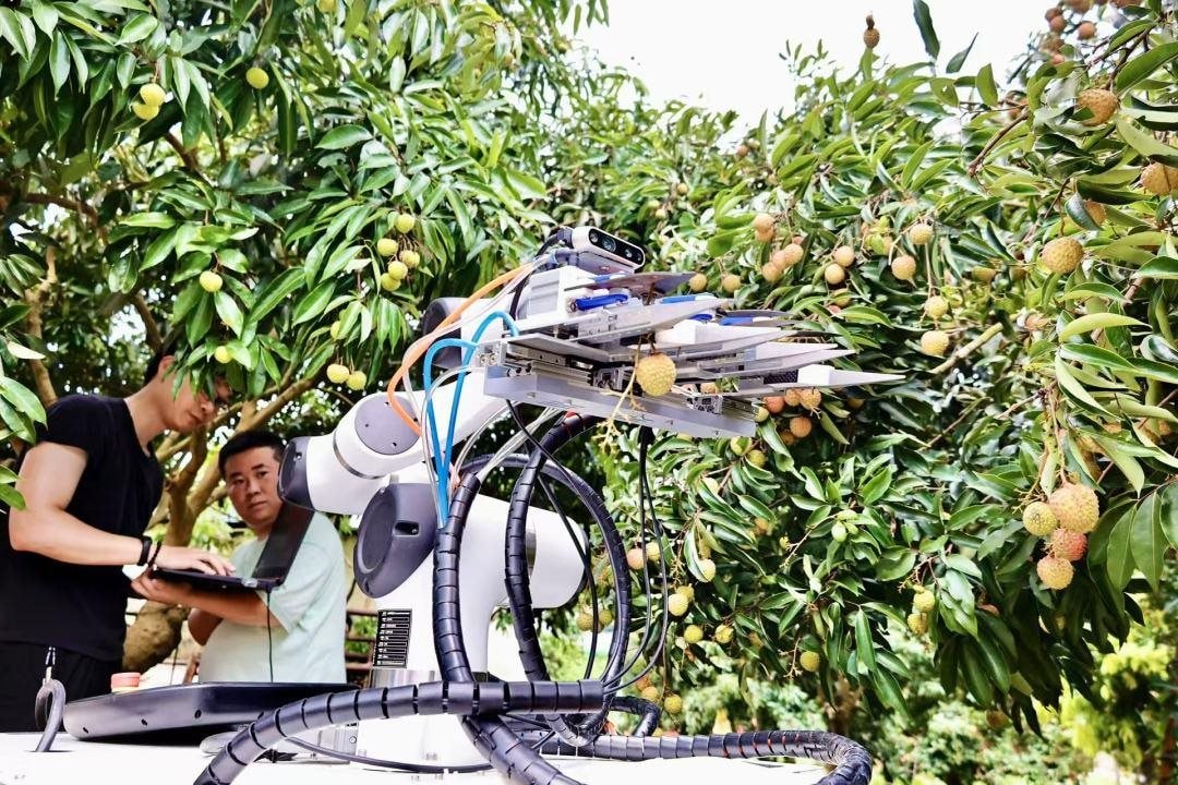 Drone bay ngợp trời, robot len qua từng gốc cây: Thủ phủ vải thế giới thu về hàng triệu tấn quả tươi nhờ ứng dụng công nghệ vệ tinh và AI tiên tiến nhất- Ảnh 3. Drone bay ngợp trời, robot len qua từng gốc cây: Thủ phủ vải thế giới thu về hàng triệu tấn quả tươi nhờ ứng dụng công nghệ vệ tinh và AI tiên tiến nhất- Ảnh 3.