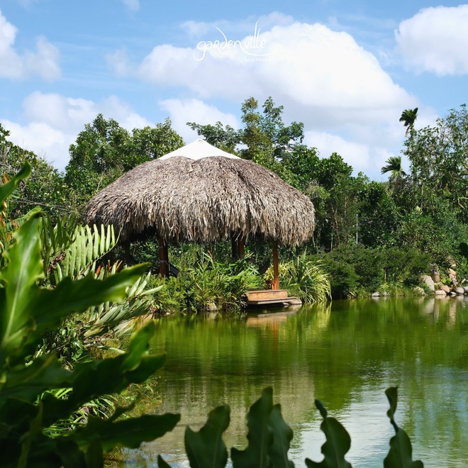 Nữ diễn viên quê Tiền Giang sở hữu cả một khu sinh thái rộng 5 hecta, nhìn cây cối xanh mướt mà ai cũng phải khen: Mẹ 4 con vừa giàu vừa giỏi- Ảnh 3.