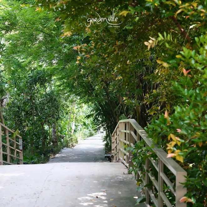 Nữ diễn viên quê Tiền Giang sở hữu cả một khu sinh thái rộng 5 hecta, nhìn cây cối xanh mướt mà ai cũng phải khen: Mẹ 4 con vừa giàu vừa giỏi- Ảnh 4.