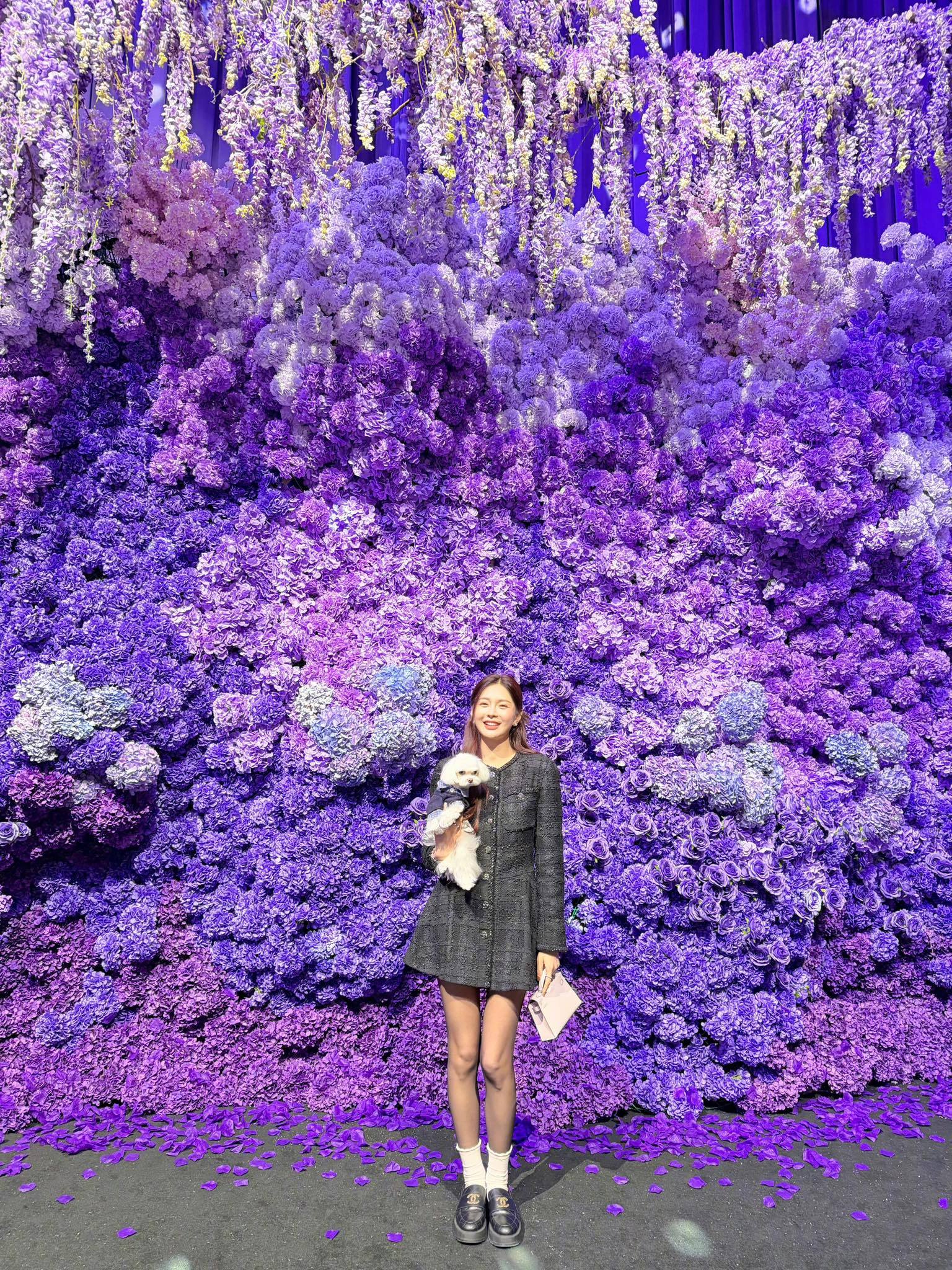 Đám cưới Đám cưới