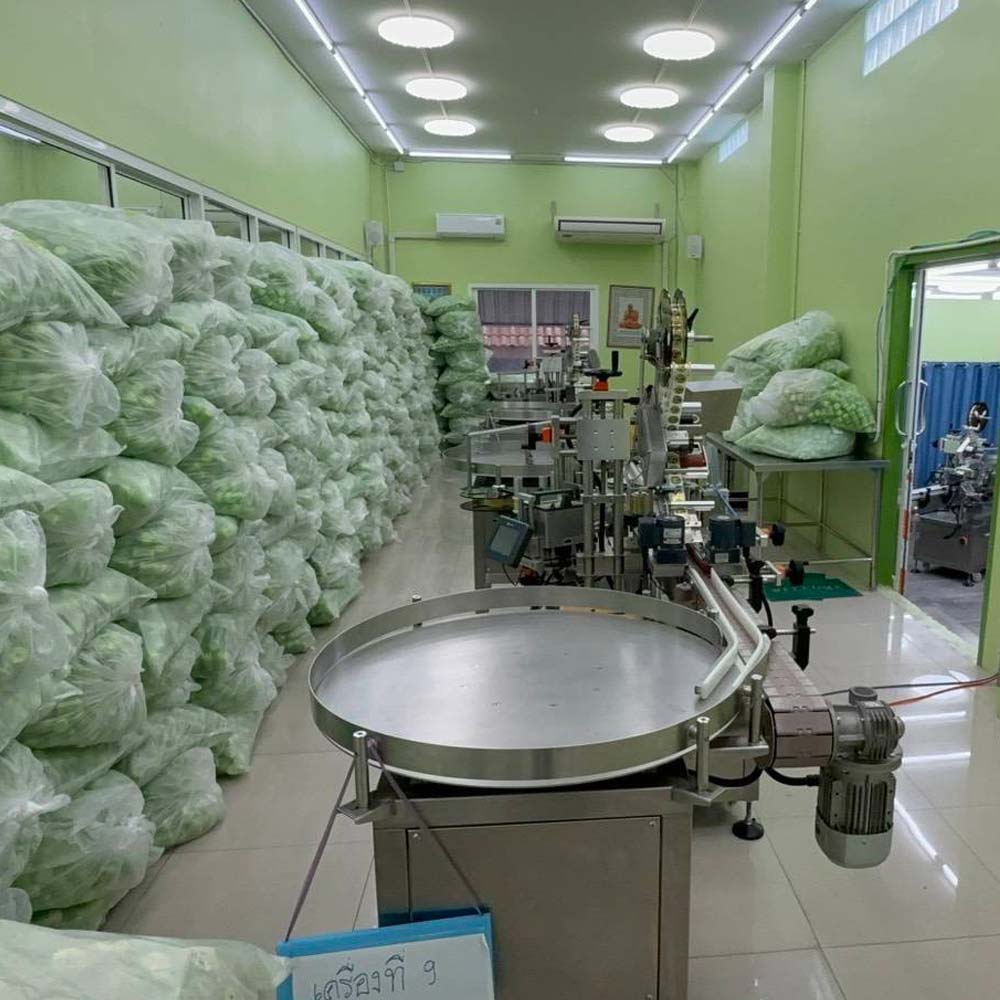 Danh sách 9 loại hít mũi thảo dược Hong Thai sản xuất chui; 2,35 triệu sản phẩm bị thu giữ- Ảnh 2.