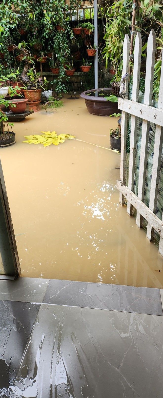 Cận cảnh ngôi nhà ca sĩ Ánh Tuyết ở Đà Nẵng ngập nặng- Ảnh 3.