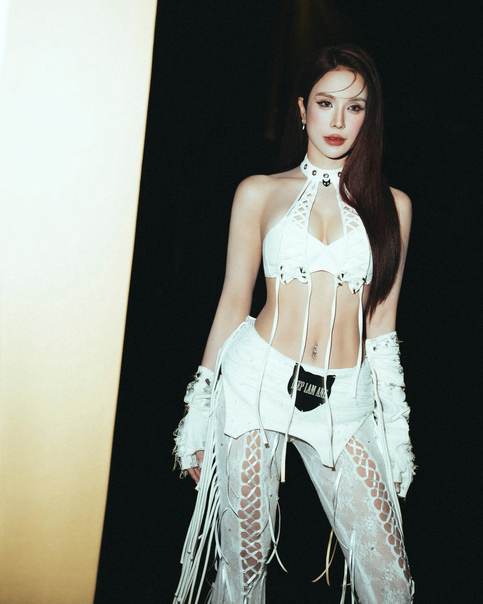 Diệp Lâm Anh đáp trả khi bị nói