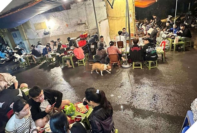 Game Quan Pho Anh Hai gay sot, quan an Ha Noi bong dong khach vi nuoi “cau Vang” giong trong game Game Quán Phở Anh Hai gây sốt, quán ăn Hà Nội bỗng đông khách vì nuôi “cậu Vàng” giống trong game