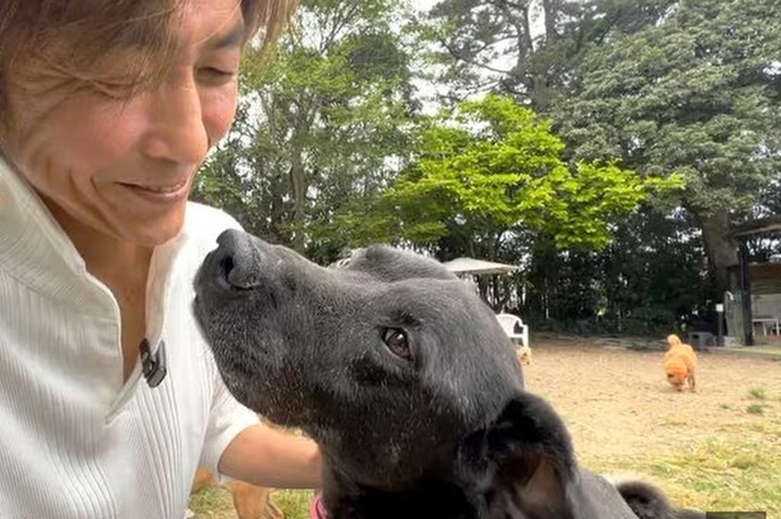 Trả ơn cứu mạng, người đàn ông bán xe Ferrari xây nơi trú ẩn cho chó- Ảnh 2.