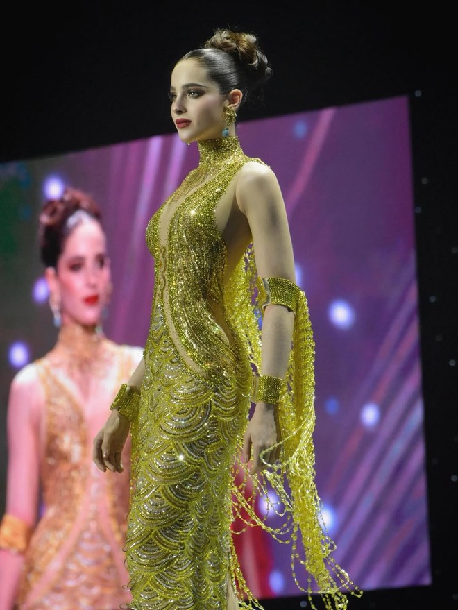Hoa hậu Hoàn vũ mới đăng quang đối mặt hàng loạt tố cáo- Ảnh 4.