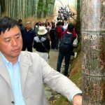 Du khách khắc bậy chi chít vào rừng tre biểu tượng, Nhật Bản đưa ra quyết định sốc 5864131341255576876602840208630433408433636n 1763630873362 1763630873668472921620 50 0 800 1200 crop 17636309083111195016886jpg